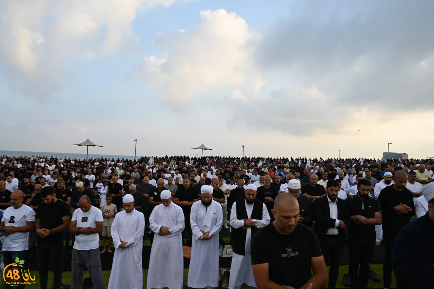 WhatsApp Image 2023-06-28 at 5.41.42 PM.jpeg